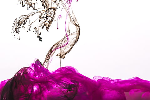 purple, ink cloud, black, drops, photo, Backgrounds, Textures, Abstract, Creative, white background, studio shot, close-up, copy space, no people, plant, indoors, motion, nature, freshness, cut out, pink color, red, multi colored, flower, water, beauty in nature, flowing, 4K, CC0, public domain, royalty free