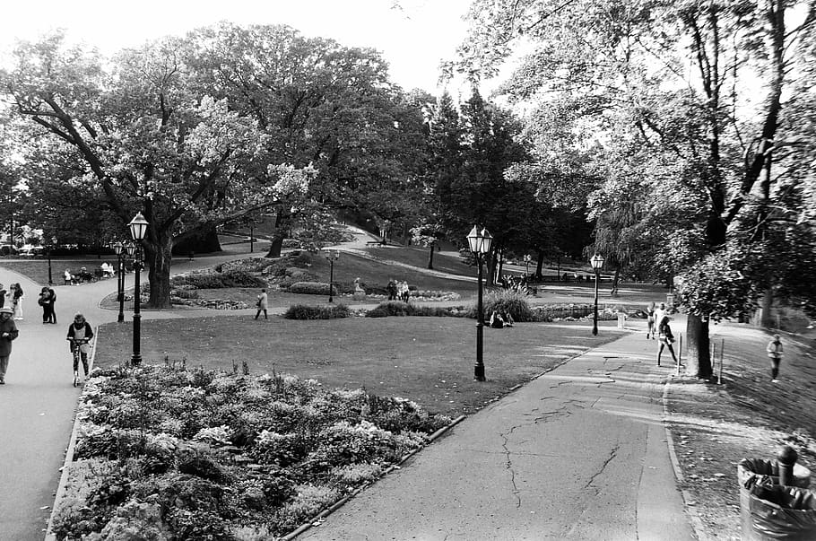 sti, person, human, træ, plante, fortov, parkere, fodgænger, udendørs, vej, by-, analog, riga, græs, vegetation, bygning, møbel, beklædning, tøj, dag, natur, rigtige mennesker, by, gruppe af mennesker, arkitektur, herrer, tilfældige mennesker, vækst, gade, livsstil, bygget struktur, gå, bygning udvendig, 2K
