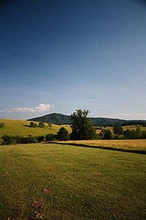 foto, verde, leafed, alberi, entro, catena montuosa, nuvole, luce del giorno, ambiente, campo, erba, prateria, paesaggio, montagna, natura, tranquillo, calmo, panoramico, cielo, pianta, scena tranquilla, la tranquillità, bellezza nella natura, scenics - natura, albero, terra, nessuno, crescita, colore verde, scena non urbana, giorno, cielo sereno, idilliaco, all'aperto, 4K, CC0, dominio pubblico, privo di copyright