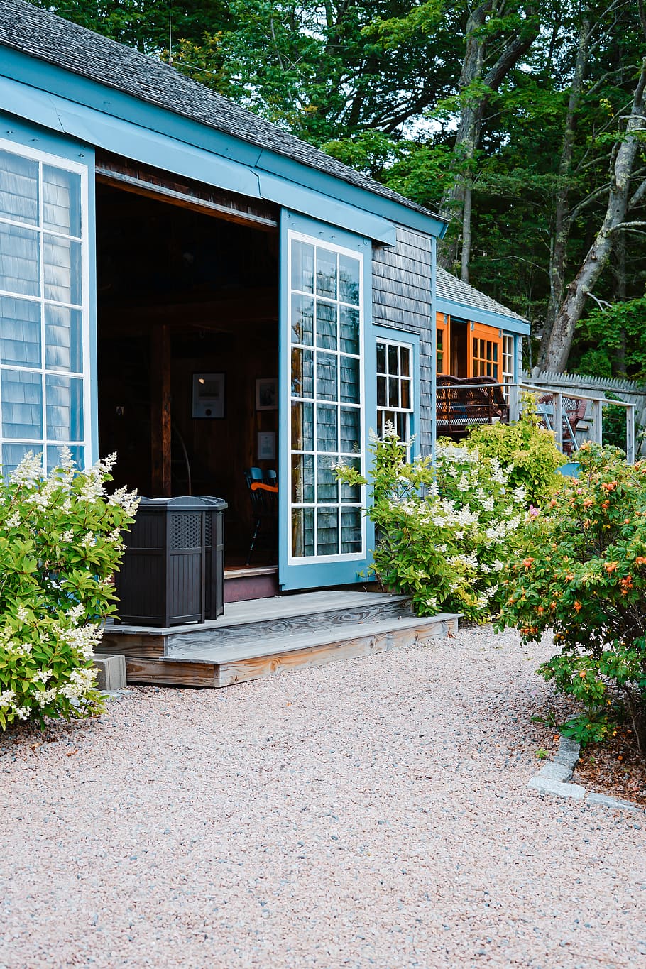 hus, åbnet, dør, bygning, sommerhus, boliger, udendørs, flora, blomstre, blomst, plante, lilla, Busk, træ, Mount Desert, Forenede Stater, nordøst havn, gård, grus, skydedør, indgang, bygning udvendig, arkitektur, bygget struktur, vindue, boligområde, ingen mennesker, natur, dag, træ - materiale, vækst, by, glas - materiale, moderne, 4K