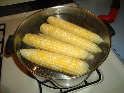 Mais, heiß, Sieden, Wasser, schwenken, Kochen, auf, das, Cob, Herd, Lebensmittel, Essen und Trinken, Frische, Gemüse, Wohlbefinden, Vorbereitung, gesundes Essen, drinnen, Stillleben, Maiskolben, High Angle View, keine Leute, Nahansicht, Hitze - Temperatur, Küchenutensilien, Küche, Haushaltsausstattung, Container, Essen vorbereiten, 2K, CC0, gemeinfrei, lizenzfrei