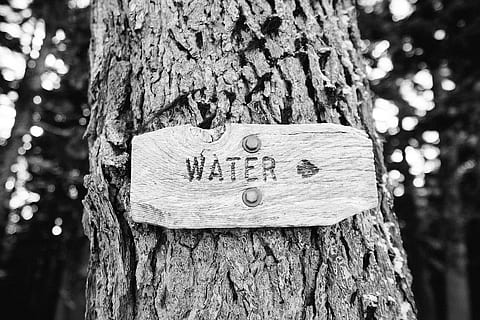 grayscale photography, water signage, arrow, direction, guide, sign, signpost, trunk, water, tree trunk, tree, plant, text, focus on foreground, textured, plant bark, close-up, communication, wood - material, heart shape, nature, no people, day, number, outdoors, emotion, rough, love, bark, message, 1080P, CC0, public domain, royalty free