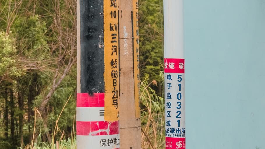 Xina, kunming, composició, bosc, arbres, xinès, pols, pol, pal senyal, spar, estàndard, números, transició, cap gent, comunicació, dia, nombre, naturalesa, text, a l'aire lliure, instrument de mesura, material de fusta, arbre, planta, aigua, primer pla, signe, creixement, cel, arquitectura, guió occidental, estructura construïda, 4K
