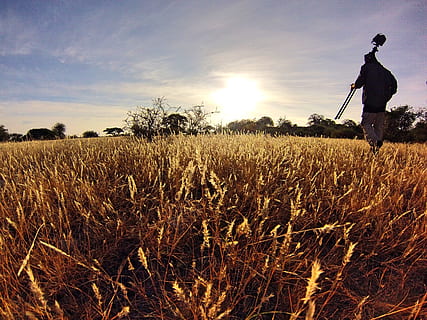 hombre, negro, largo, camisa de manga, participación, trípode para cámara, para caminar, Campos de trigo, tiempo de día, cámara, nubes, campo, hierba, caminata, naturaleza, al aire libre, fotógrafo, cielo, Dom, soleado, trípode, tierra, una persona, hombres, planta, en pie, adulto, paisaje, agricultura, gente real, luz del sol, puesta de sol, paisajes - naturaleza, escena rural, actividad de ocio, estilos de vida, hombres maduros, 4K, CC0, dominio público, libre de derechos