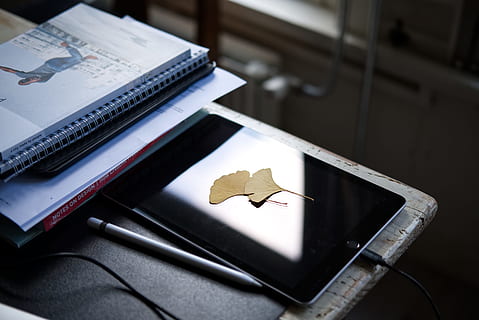 iPad nero, tavoletta, foglia, tavolo, libro, bokeh, sfocatura, riflessione, del desktop, scrivania, casa, estate, sfondo, lancia, digitale, schizzo, abbozzare, disegno, ipencil, Mela, ipad, attività commerciale, computer, tecnologia, finanza, il computer portatile, ufficio, documento, dati, penna, bloc notes, nessuno, grafico, tavoletta digitale, attrezzatura, carta, avvicinamento, pianificazione, 5K, CC0, dominio pubblico, privo di copyright