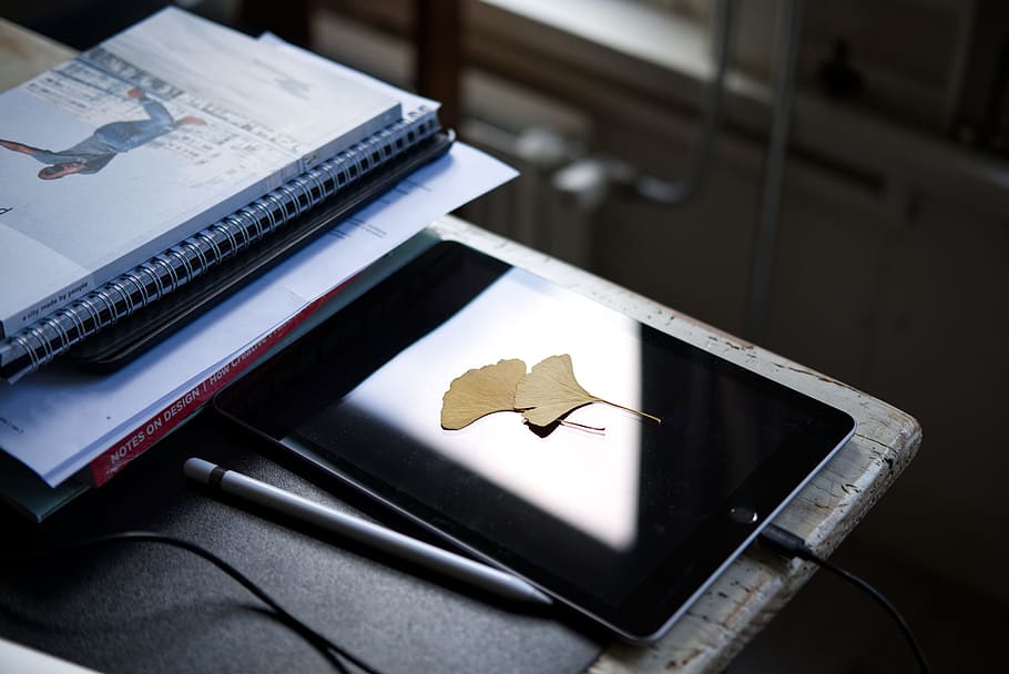 ipad negre, tauleta, full, taula, llibre, bokeh, borrós, reflexió, escriptori, casa, estiu, fons de pantalla, llança, digital, esbós, dibuixar, dibuix, ipencil, poma, ipad, negocis, ordinador, tecnologia, Finances, portàtil, oficina, document, dades, bolígraf, bloc de notes, cap gent, gràfic, tauleta digital, equipament, paper, primer pla, planificació, 5K
