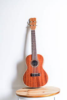 ukulele marrone, musica, strumento a corda, strumento musicale, in casa, cultura artistica e intrattenimento, attrezzatura musicale, stringa, chitarra, singolo oggetto, stringa di strumenti musicali, girato in studio, nessuno, legno - materiale, Colore bianco, sfondo bianco, musica classica, copia spazio, caratteristica della parete, avvicinamento, chitarra acustica, 5K, CC0, dominio pubblico, privo di copyright