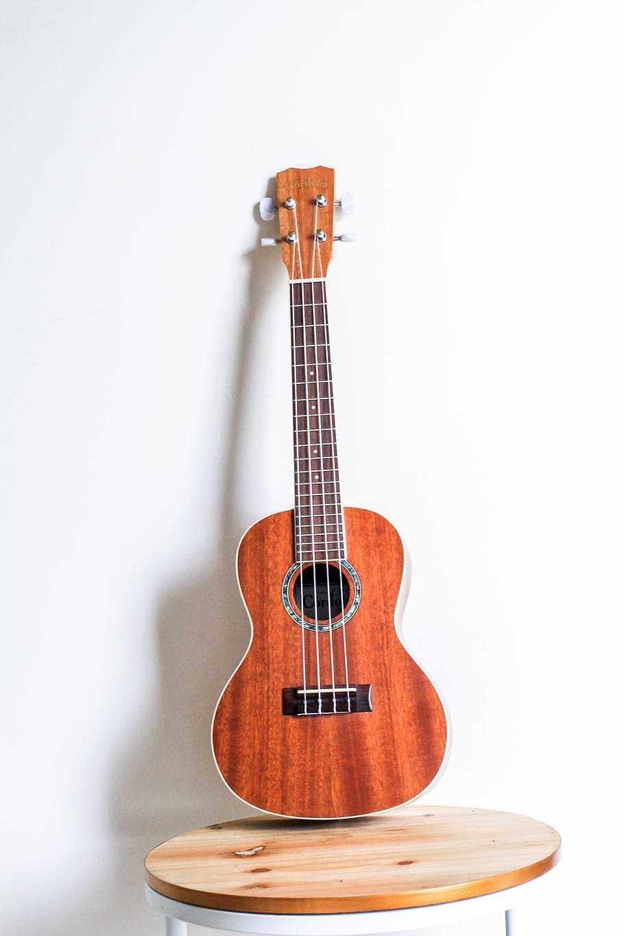 ukelele marró, música, instrument de corda, instrument musical, a l'interior, cultura i entreteniment artístic, equipament musical, cadena, guitarra, sol objecte, corda d’instruments musicals, tir de l'estudi, cap gent, material de fusta, Color blanc, fons blanc, música clàssica, còpia espai, funció de construcció de parets, primer pla, guitarra acústica, 5K