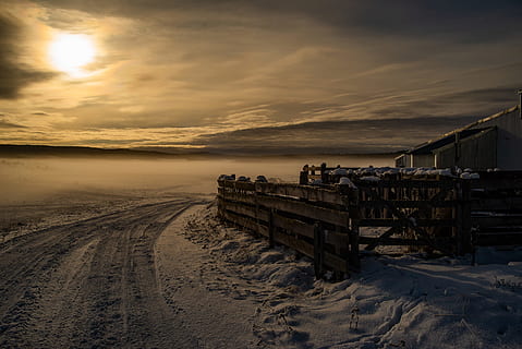 brown wooden fence, backlit, beach, brown, clouds, cloudscape, country, dawn, dramatic, dusk, evening, frozen, horizon, landscape, light, nature, ocean, outdoors, pathway, sand, sea, seascape, seashore, silhouette, sky, snow, sun, sunrise, sunset, trail, travel, water, winter, wood, wooden fence, cloud - sky, tranquil scene, beauty in nature, tranquility, scenics - nature, land, wood - material, no people, cold temperature, 1080P, CC0, public domain, royalty free