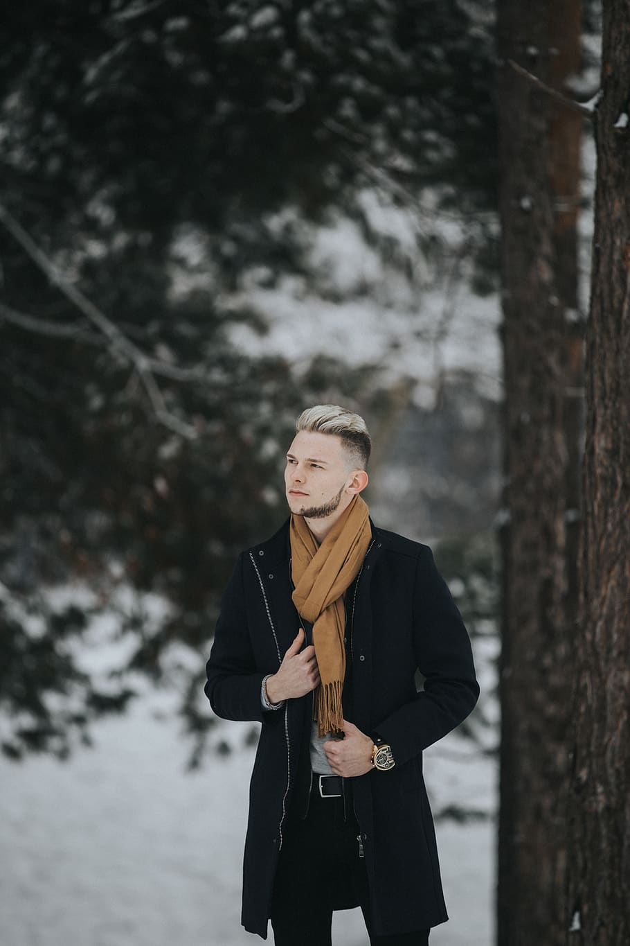 man, staand, naast, boom, kleding, jas, overjas, persoon, menselijk, sjaal, mouw, mode, sneeuw, natuur, winter, fabriek, lange mouw, mannetje, jongen, classy, kijk maar, Bos, een persoon, jonge volwassene, koude temperatuur, echte mensen, warme kleding, jonge vrouwen, vrijetijdsbesteding, vooraanzicht, levensstijlen, land-, drie kwart lengte, focus op de voorgrond, buitenshuis, mooie vrouw, 4K