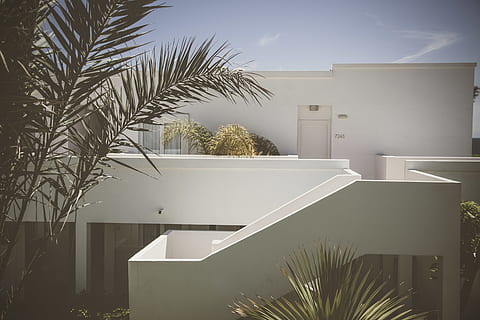 edifici blanc, planta, barana, edifici, arbre, habitatge, Palmera, arecaceae, arquitectura, casa, vila, decoració de la llar, agavaceae, vegetació, condomini, pati, paret, cantonada, a l'aire lliure, herba, estructura construïda, clima tropical, naturalesa, exterior de l'edifici, dia, cap gent, llum solar, creixement, barri residencial, cel, modern, Color blanc, luxe, apartament, planta d'interior, fulla de palma, 2K, CC0, domini públic, lliure de regalies