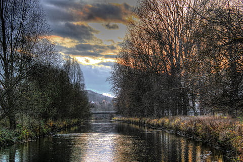 riu, bosc, núvols, ennuvolat, alba, herba, idíl·lic, naturalesa, escènic, tranquil, arbres, aigua, boscos, arbre, planta, bellesa a la natura, cel, escenics - natura, tranquil·litat, núvol - cel, escena tranquil·la, cap gent, davant del mar, reflexió, llac, arbre nu, escena no urbana, creixement, a l'aire lliure, que flueix, 5K, CC0, domini públic, lliure de regalies