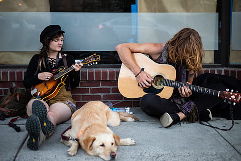 to, menn, spiller, gitarer, person, menneskelig, mennesker, gitar, musikk Instrument, musikk, utøver, fritidsaktiviteter, gitarist, musiker, kjæledyr, pattedyr, husky, hund, canine, dyr, elektrisk gitar, bedårende, collie, bassgitar, strengeinstrument, musikalsk utstyr, ett dyr, kunstkultur og underholdning, kunstner, sitter, vennskap, dyre temaer, husdyr, innenlands, opptreden, ferdighet, plukke et instrument, tenåring, 5K, CC0, offentlig domene, opphavsrett gratis