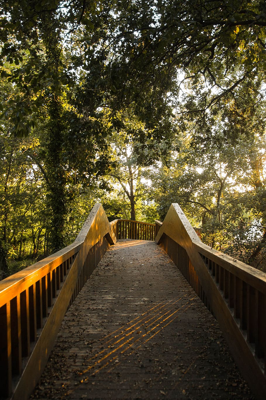 bosc, arbres, pont, sol, posta de sol, verd, paisatge, Camí, fulles, arbre, terra, senderisme, ombra, llum de fons, il·luminació, brillantor, silueta, misteriós, fantasia, màgia, planta, el camí a seguir, direcció, naturalesa, barana, perspectiva decreixent, connexió, cap gent, creixement, dia, sendera, llum solar, a l'aire lliure, transport, tranquil·litat, arquitectura, pont - estructura feta per l'home, passarel·la, 4K