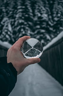 waterbel, menselijke hand, hand-, menselijk lichaamsdeel, bezit, een persoon, echte mensen, focus op de voorgrond, onherkenbaar persoon, dag, natuur, lichaamsdeel, fabriek, persoonlijk perspectief, levensstijlen, buitenshuis, koude temperatuur, boom, detailopname, winter, vrijetijdsbesteding, vinger, 5K, CC0, publiek domein, royaltyvrij