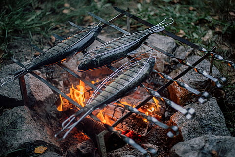three, gray, fish, grill, fire, burning, flame, fire - natural phenomenon, heat - temperature, bonfire, log, nature, firewood, wood - material, camping, wood, no people, campfire, high angle view, glowing, land, outdoors, day, food, 5K, CC0, public domain, royalty free