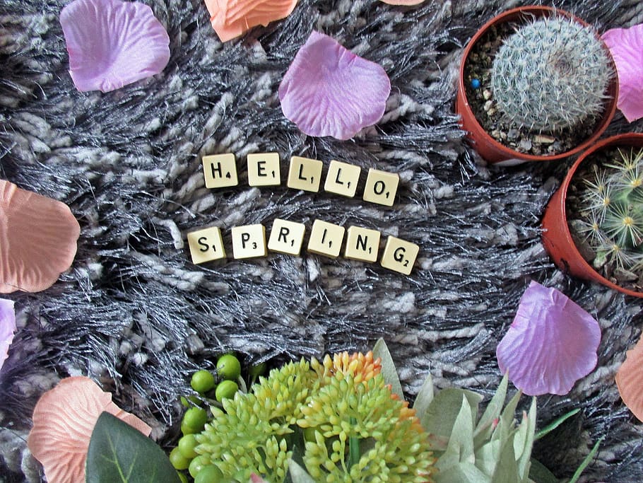 primăvară, Scrabble, scrisori, cactus, flori, plat, text, plantă, floare, a închide, western script, natură, nici o persoana, planta cu flori, prospeţime, comunicare, vedere în unghi mare, frumusețe în natură, petală, inflorescenţă, zi, cap de floare, în aer liber, religie, frunze, mesaj, 5K