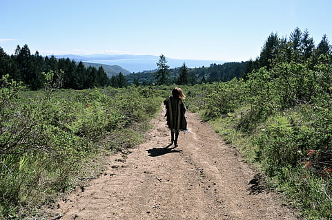 bosc, arbre, Camí, caminar, platja, muntanya, turó, brutícia, rock, sorra, Costa, nord, badia, vespre, medi ambient, camp, herba, verd, excursionista, senderisme, planta, una persona, persones reals, longitud completa, vista del darrere, bellesa a la natura, estils de vida, naturalesa, creixement, escena no urbana, activitat d'oci, dones, cel, terra, dia, escenics - natura, tranquil·litat, escena tranquil·la, a l'aire lliure, 4K, CC0, domini públic, lliure de regalies