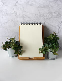 notizblok, note, message, diary, blog, deco, write, paper, decoration, plant, office, background, design, decorative, guestbook, scrapbooking, flower, wallpaper, template, leaf, plant part, no people, indoors, potted plant, table, nature, white color, still life, high angle view, green color, growth, close-up, directly above, freshness, container, copy space, publication, book, blank, leaves, houseplant, 4K, CC0, public domain, royalty free