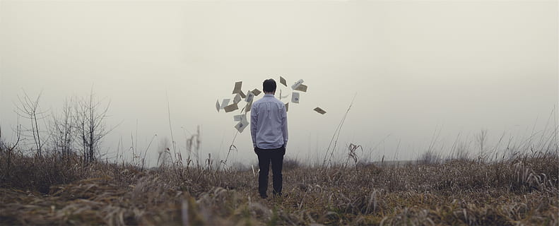 guy, man, papers, field, grass, fog, people, standing, rear view, full length, one person, arms raised, human arm, nature, sky, human limb, limb, human body part, child, body part, plant, childhood, adult, outdoors, hood - clothing, contemplation, 2K, CC0, public domain, royalty free