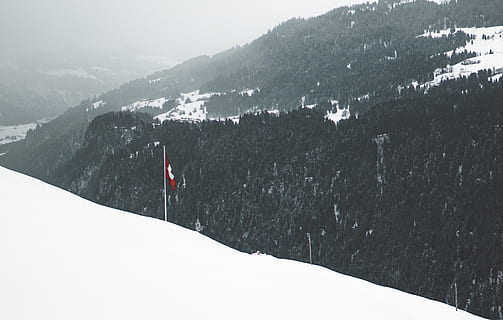 alberi dalle foglie verdi, pendenza, natura, all'aperto, montagna, albero, la neve, andest, svizzero, pianta, pista, gli sport, sport, abies, abete, inverno, ghiaccio, catena montuosa, Flagge, buio, vegetazione, temperatura fredda, bellezza nella natura, scenics - natura, ambiente, scena non urbana, la tranquillità, giorno, scena tranquilla, terra, montagna innevata, viaggio, 4K, CC0, dominio pubblico, privo di copyright