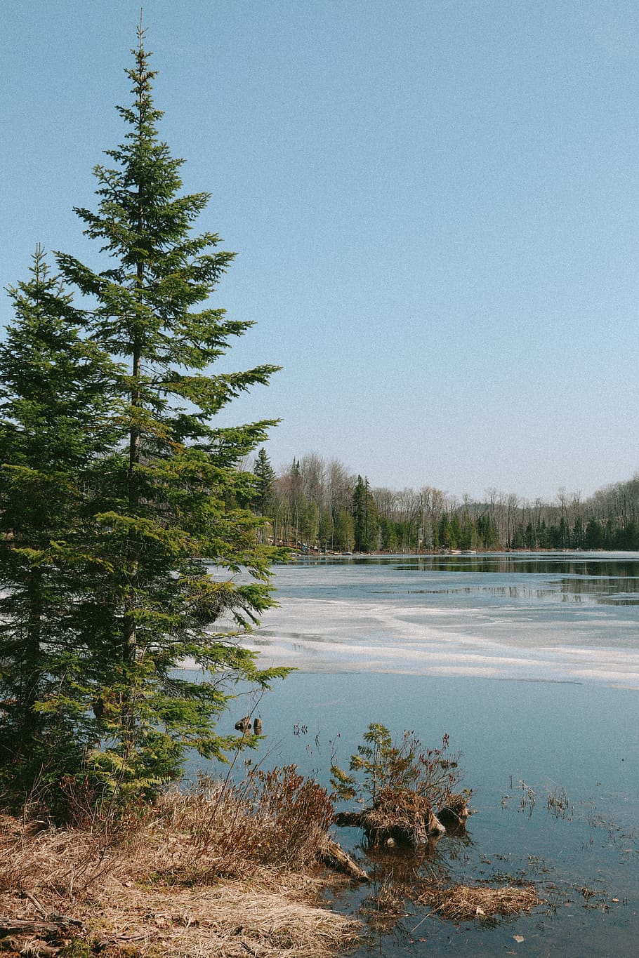 Canadà, entrelacs, arbres, cel, blau, minimalista, coberta, cel blau, montreal, biarritz, descobrir, naturalesa, simple, màrqueting, interfície, col · lecció, explorar, kanye, guai, bonic, arbre, planta, tranquil·litat, escena tranquil·la, aigua, bellesa a la natura, cap gent, cel clar, llac, escenics - natura, escena no urbana, dia, creixement, hivern, terra, temperatura de fred, a l'aire lliure, arbre de coníferes, 5K