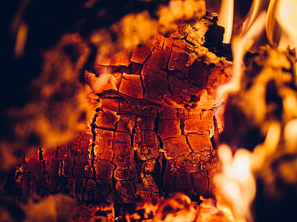 wood burning, element, ember, fire, fireplace, selective focus, nature, burning, flame, fire - natural phenomenon, no people, close-up, outdoors, log, wood, heat - temperature, burnt, bonfire, orange color, brown, tree, beauty in nature, firewood, 4K, CC0, public domain, royalty free
