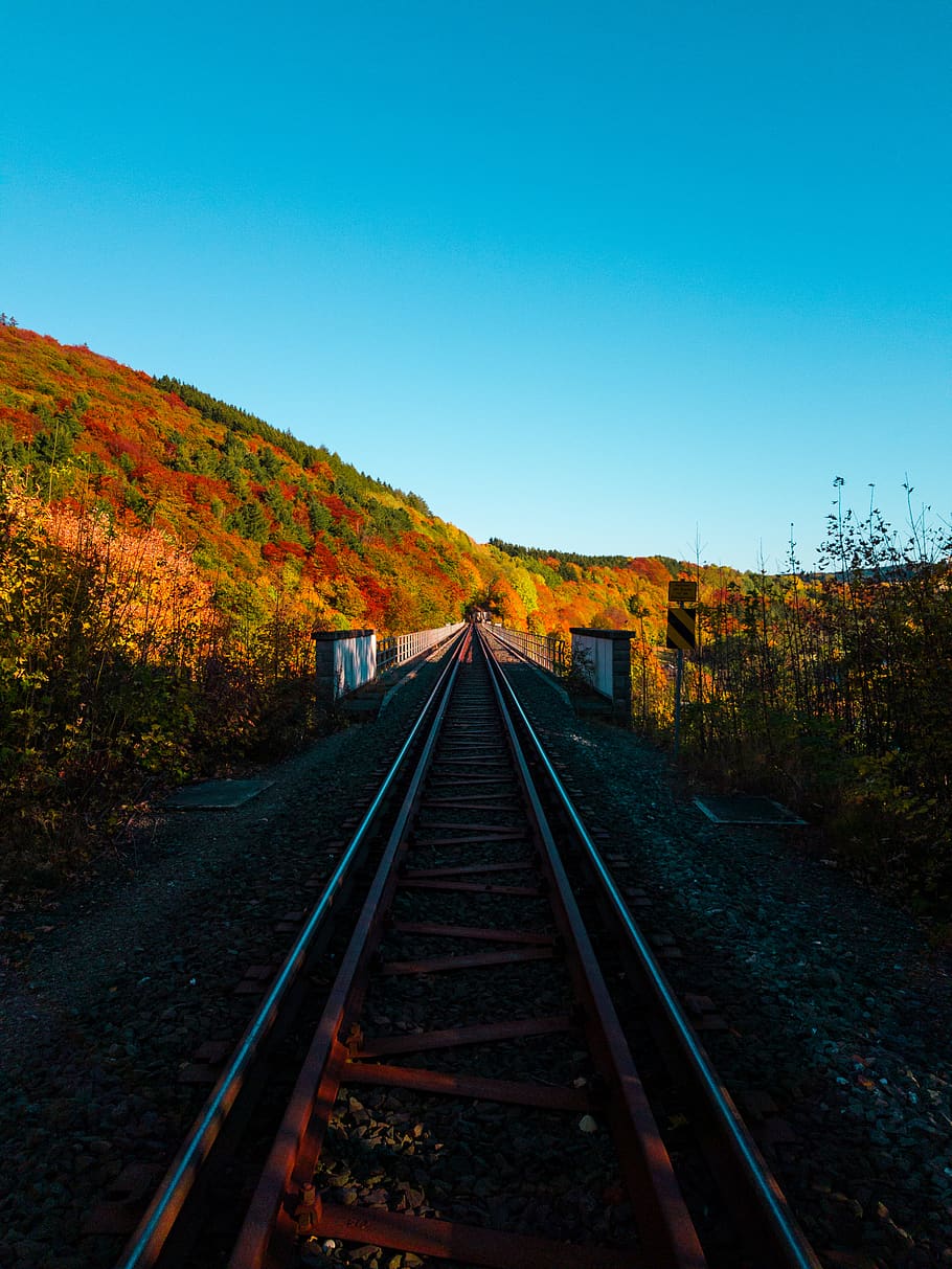 Germania, Willingen, traccia, trasporto ferroviario, ferrovia, la strada davanti, direzione, cielo, mezzi di trasporto, natura, autunno, nessuno, cielo sereno, pianta, modificare, albero, prospettiva decrescente, giorno, bellezza nella natura, scenics - natura, ambiente, scena tranquilla, all'aperto, parallelo, 4K