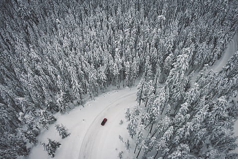 neu, hivern, blanc, fred, temps, gel, arbres, plantes, naturalesa, viatjar, aventura, carretera, cotxe, vehicle, transport, boscos, bosc, temperatura de fred, arbre, planta, terra, bellesa a la natura, vista d’angle alt, muntanya, Color blanc, escenics - natura, dia, escena tranquil·la, esport, camp, cobertura, tranquil·litat, a l'aire lliure, nevar, muntanya nevada, 4K, CC0, domini públic, lliure de regalies