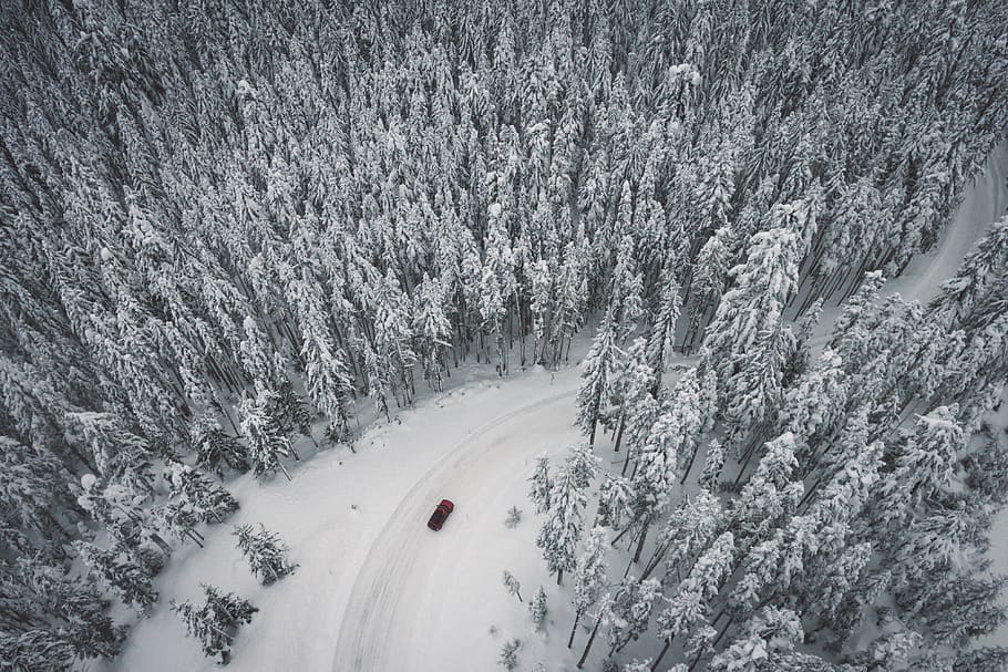 neu, hivern, blanc, fred, temps, gel, arbres, plantes, naturalesa, viatjar, aventura, carretera, cotxe, vehicle, transport, boscos, bosc, temperatura de fred, arbre, planta, terra, bellesa a la natura, vista d’angle alt, muntanya, Color blanc, escenics - natura, dia, escena tranquil·la, esport, camp, cobertura, tranquil·litat, a l'aire lliure, nevar, muntanya nevada, 4K