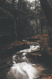 løb, vand, træer, natur, udendørs, strøm, flod, bæk, hocking bakker, plante, træ, blad, tåge, vandfald, kunst, maleri, dyr, fugl, jord, landskab, hollandske, mørk, Skov, bevægelse, scenics - natur, flydende vand, skønhed i naturen, dag, klippe, lang eksponering, ingen mennesker, miljø, flyder, rock-objekt, solid, strøm - rindende vand, magt i naturen, regnskov, 5K, CC0, offentligt domæne, royaltyfrie