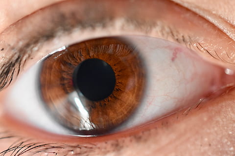 ull, iris, pestanyes, vista, sales, primer pla, percepció sensorial, primer pla extrem, ull humà, pestanya, iris - ull, globus ocular, part del cos, part del cos humà, macro, gent, ulls marrons, adult, mirant, adult jove, dones, vigilància, dona guapa, 5K, CC0, domini públic, lliure de regalies