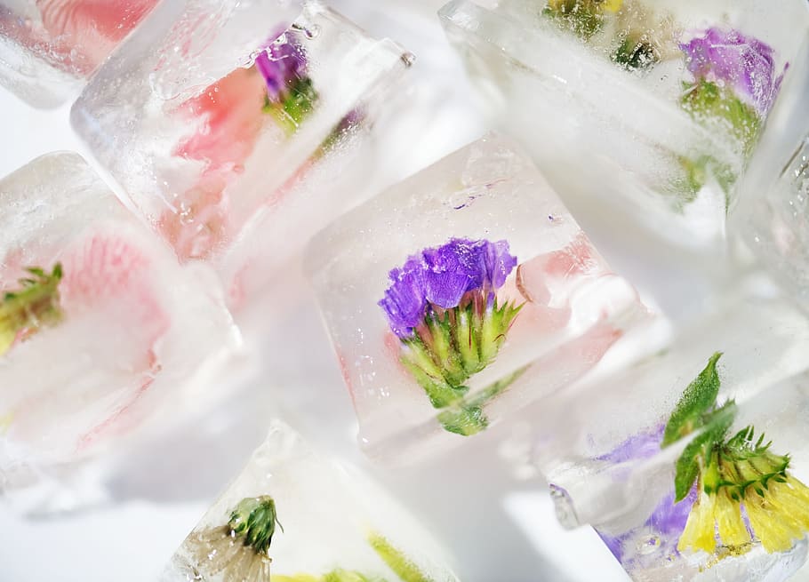 artesà, fons, bartending, bonic, primer pla, fred, colorit, guai, artesania, creatiu, creativitat, cristall, cub, culinari, decoració, detall, beure, comestible, floral, flor, ze, fresc, frescor, gelades, congelat, festa, gel, , a l'interior, planta, cap gent, planta amb flors, tir de l'estudi, naturalesa, multicolor, menjar i beguda, menjar, porpra, variació, refresc, fulla de menta - culinària, color rosa, copa, vidre, herba, bouquet, 1080P