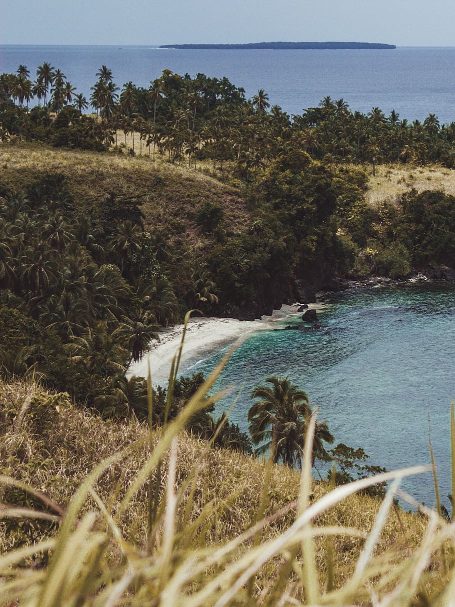 arbres verds, Filipines, platja, illa de daku, general luna, a l'aire lliure, aigua, Costa, naturalesa, mar, oceà, illa deserta, illa, senderisme, illa de siargao, paradís, illa de corregidor, siargao, platja perfecta, la platja, tropical, planta, arbre, escenics - natura, tranquil·litat, terra, escena tranquil·la, bellesa a la natura, cel, cap gent, dia, creixement, herba, paisatge, sorra, 2K