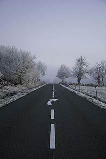 estrada, arvores, dia, natureza, ao ar livre, rodovia, caminho, asfalto, alcatrão, gelo, neve, névoa, barraca, geada, clima, cenário, inverno, panorama, torre, arquitetura, construção, placa, direção, o caminho a seguir, transporte, símbolo, árvore, Perspectiva Diminutiva, céu, ninguém, plantar, marcação, marcação de estrada, orientação, estrada vazia, comunicação, símbolo de seta, linha divisória, 5K, CC0, domínio público, royalty free