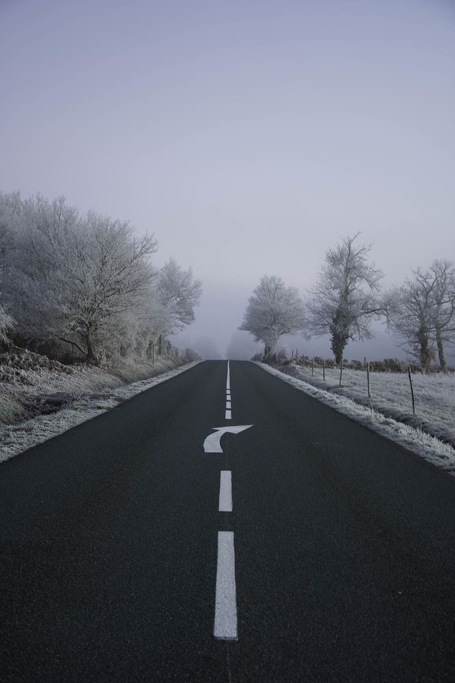 yol, ağaçlar, gündüz, doğa, açık havada, karayolu, asfalt, buz, kar, sis, çadır, don, hava, manzara, kış, peyzaj, kule, mimari, bina, işaret, yön, ileriye giden yol, taşımacılık, sembol, ağaç, azalan perspektif, gökyüzü, insansız, bitki, işaretleme, yol işaretleme, rehberlik, boş yol, iletişim, ok simgesi, gün, ayırma çizgisi, 5K