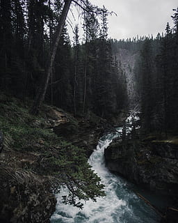 cascate nella foresta, luce del giorno, ambiente, flusso, foresta, paesaggio, lunga esposizione, montagne, natura, rapide, rocce, panoramico, lasso di tempo, alberi, acqua, boschi, albero, pianta, scenics - natura, bellezza nella natura, terra, acqua corrente, cascata, scena non urbana, nessuno, movimento, scena tranquilla, la tranquillità, giorno, fluente, all'aperto, flusso - acqua che scorre, bosco, potere in natura, 4K, CC0, dominio pubblico, privo di copyright