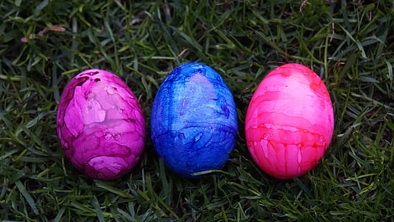 easter eggs, colorful, easter, egg, grass, green, colored, color, spring, food, easter theme, chicken eggs, easter greetings, easter magic, cheerful, easter bunny, customs, meadow, eat, greeting card, children joy, food and drink, close-up, celebration, plant, easter egg, freshness, no people, land, nature, high angle view, purple, healthy eating, day, field, wellbeing, outdoors, crocus, 5K, CC0, public domain, royalty free