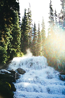 Fluss, Bäume, tagsüber, Wasser, Natur, Baum, draußen, Wasserfall, Tanne, Pflanze, abies, Kiefer, Wald, Britisch-Kolumbien, Joffre Lakes, Kanada, Fackel, Nadelbaum, Sonnenlicht, Grün, glühen, Vegetation, Schönheit in der Natur, Szenen - Natur, Land, keine Leute, fließendes Wasser, Bewegung, Nicht-städtische Szene, ruhige Szene, Ruhe, Tag, Wachstum, Himmel, idyllisch, Kraft in der Natur, fließend, 5K, CC0, gemeinfrei, lizenzfrei