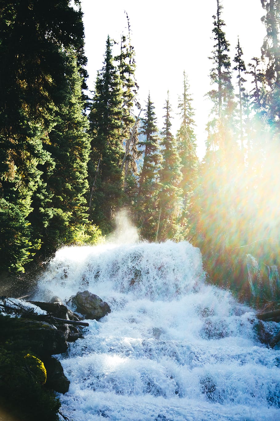 Fluss, Bäume, tagsüber, Wasser, Natur, Baum, draußen, Wasserfall, Tanne, Pflanze, abies, Kiefer, Wald, Britisch-Kolumbien, Joffre Lakes, Kanada, Fackel, Nadelbaum, Sonnenlicht, Grün, glühen, Vegetation, Schönheit in der Natur, Szenen - Natur, Land, keine Leute, fließendes Wasser, Bewegung, Nicht-städtische Szene, ruhige Szene, Ruhe, Tag, Wachstum, Himmel, idyllisch, Kraft in der Natur, fließend, 5K