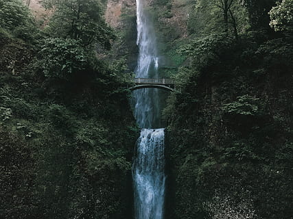 cascade, inconjurat, plante, pod, cascadă, cădea, copac, pădure, apă, cu toane, verde, multnomah cade, întuneric, natură, peisaj, dens, gros, mistic, misterios, magic, icoană, pnw, Buna dimineata, râu, curent, scenics, frumusețe în natură, în aer liber, prospeţime, obiect de rocă, Culoarea verde, Munte, cădere, vară, curgere, umed, apă curgătoare, călătorie, pădure tropicală, loc faimos, nici o persoana, mediu inconjurator, 4K, CC0, domeniu public, fără drepturi de autor