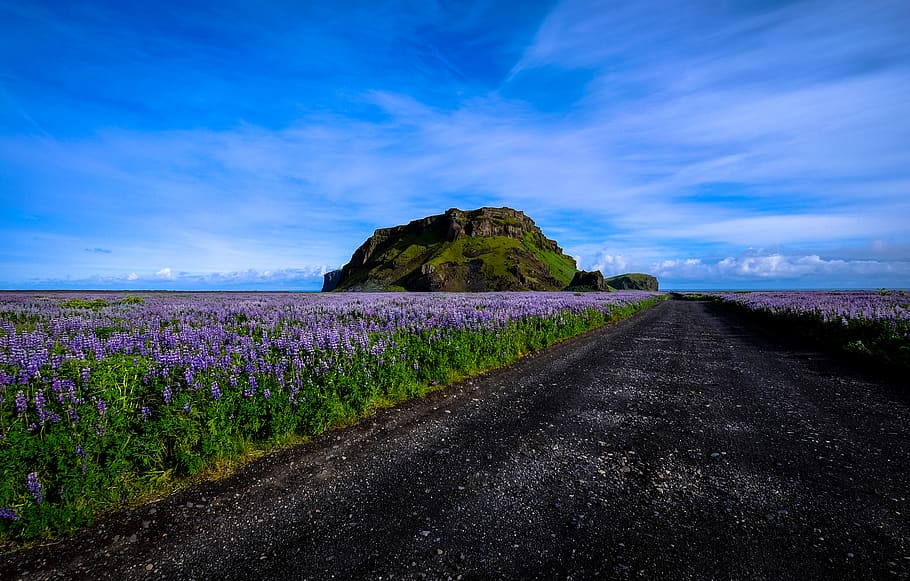grønt gressfotografi, himmel, skjønnhet i naturen, vei, anlegg, naturskjønnhet - natur, veien forover, retning, rolig scene, ro, land, natur, ingen folk, synkende perspektiv, landskap, blå, miljø, transport, sky - himmel, felt, idylliske, lilla, utendørs, 4K