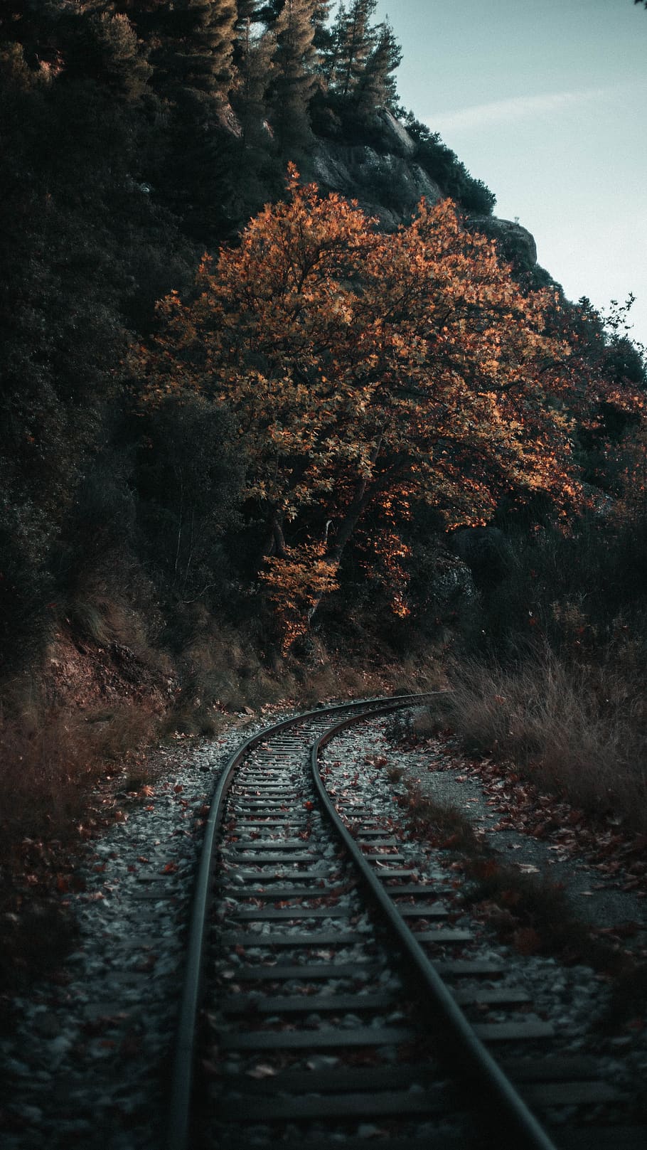buit, pista de tren, arbre, muntanyes, rail, ferrocarril, transport, Carretera bruta, carretera, grava, kato zachlorou, Grècia, doblar, pista, tren, tardor, rural, remot, bosc, medi ambient, el camí a seguir, transport per ferrocarril, vies del ferrocarril, direcció, planta, naturalesa, cap gent, perspectiva decreixent, dia, creixement, terra, cel, tranquil·litat, punt de fuga, a l'aire lliure, escena tranquil·la, llarg, 5K
