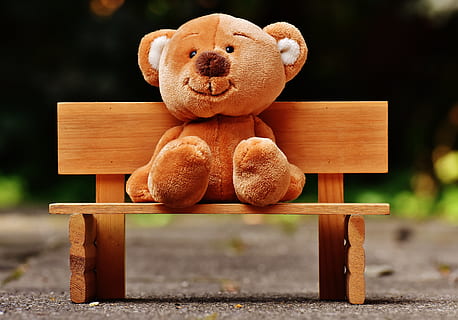 brown, bear, plush, toy, sitting, wooden, bench, blur, child, children, close-up, cute, fun, happiness, sit, soft toy, still life, teddy bear, toy figure, wood, wooden bench, wood - material, no people, focus on foreground, seat, stuffed toy, day, animal representation, table, representation, art and craft, creativity, chair, nature, softness, 5K