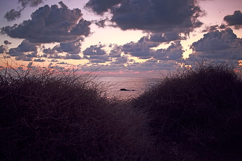 buisson, fond de nuages, Malte, gozo, herbe, ciel, horizon, la nature, paysage, nuage, dune, mer, océan, le coucher du soleil, vue, en plein air, champ, prairie, plante, flore, de plein air, fond d'écran, nuage - ciel, paysages - nature, beauté dans la nature, scène tranquille, tranquillité, eau, personne, terre, idyllique, scène non urbaine, arbre, environnement, plage, 5K, CC0, domaine public, libre de droits