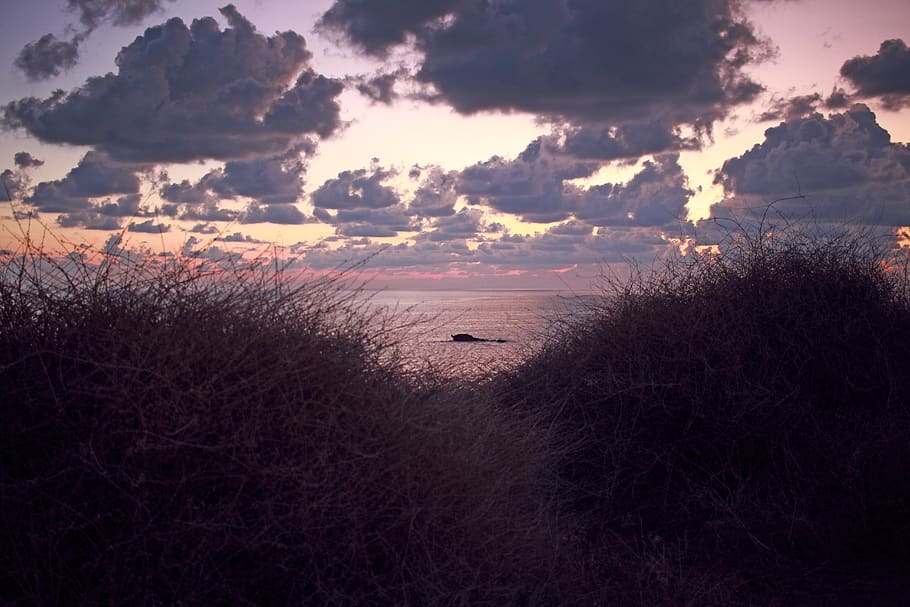 arbust, fons de núvols, malta, gozo, herba, cel, horitzó, naturalesa, paisatge, núvol, duna, mar, oceà, posta de sol, vista, a l'aire lliure, camp, pastures, planta, flora, fons de pantalla, núvol - cel, escenics - natura, bellesa a la natura, escena tranquil·la, tranquil·litat, aigua, cap gent, terra, idíl·lic, escena no urbana, arbre, medi ambient, platja, 5K