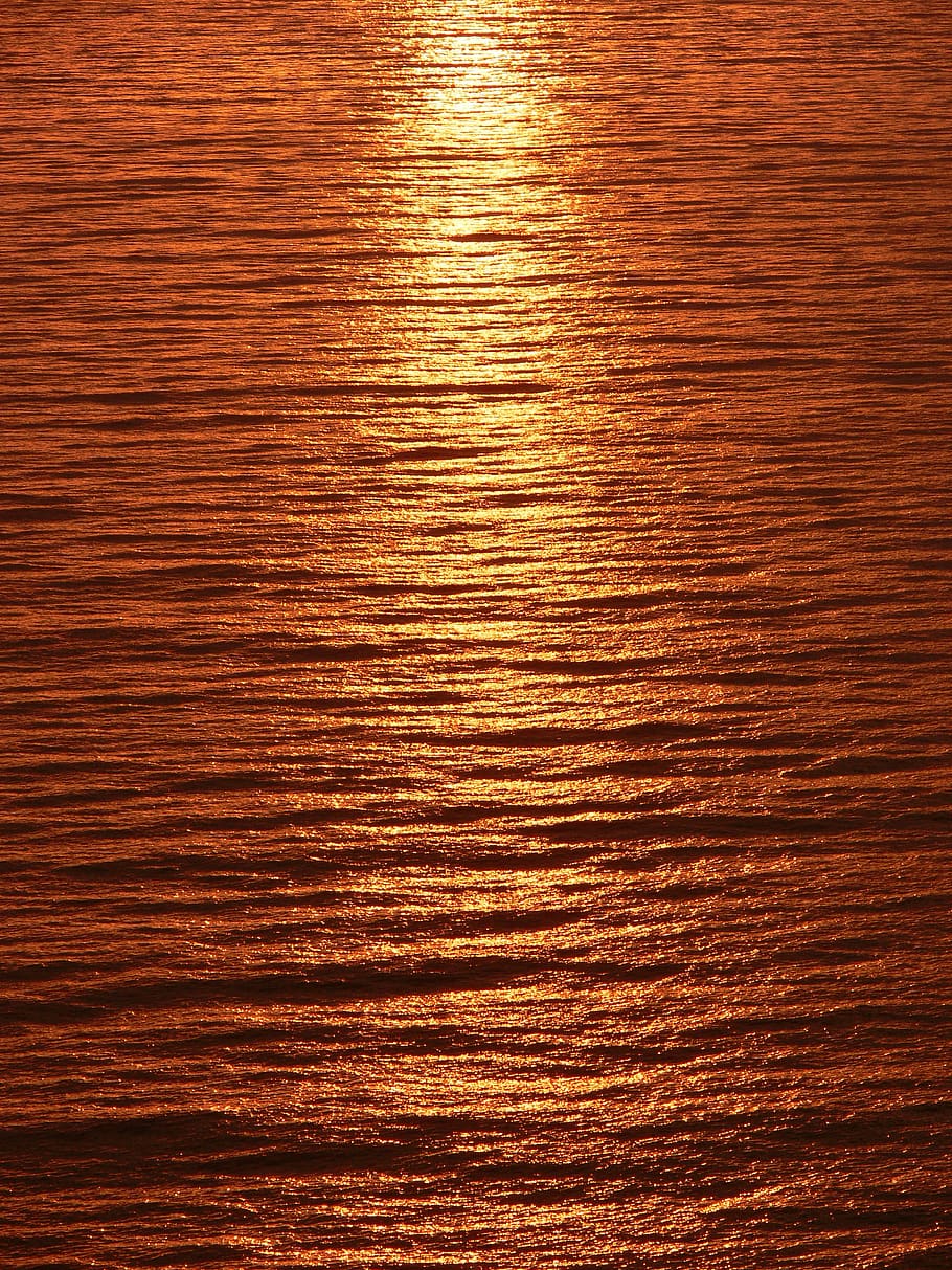 ratxa, llum, posta de sol, reflectit, mar tranquil, mar, pacífica, fons, patró, marc complet, textura, cap gent, material de fusta, fusta, primer pla, marró, reflexió, gra de fusta, a l'interior, color daurat, metall, sòls, efecte texturat, naturalesa, antiguitat, llis, 2K