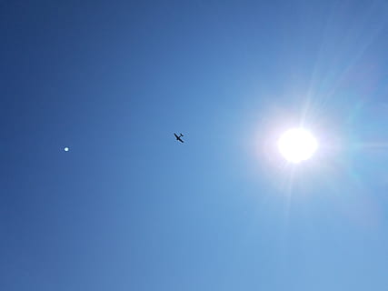 cel, sol, vista d’angle baix, blau, cel clar, llum solar, volant, flare de la lent, ocell, temes d'animals, cap gent, fauna animal, animals a la natura, naturalesa, assolellat, raig de sol, bellesa a la natura, vertebrats, animal, dia, a l'aire lliure, brillant, lluminós, 4K, CC0, domini públic, lliure de regalies