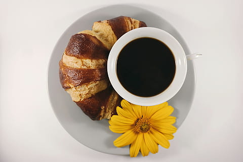 cangkir, kopi, di samping, roti, piring, minuman, secangkir kopi, minum, bunga, makanan, makanan dan minuman, kopi - minum, tepat di atas, cangkir kopi, kesegaran, makan, meja, sarapan, dipanggang, croissant, tanaman berbunga, masih hidup, dalam ruangan, tidak ada orang, makanan Perancis, balapecah, 5K, CC0, domain publik, bebas royalti