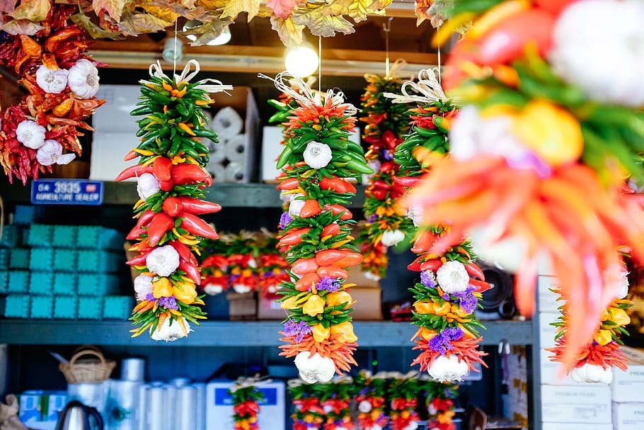 Blumenlaternen, Blume, blühende Pflanze, Verkauf, Markt, Pflanze, Wahl, zu verkaufen, Marktstand, Variation, mehrfarbig, keine Leute, hängend, Kleinunternehmen, Verkaufsdisplay, Geschäft, Frische, Dekoration, Tag, Natur, Sammlung, draußen, Konsumismus, Blumenschmuck, Blumentopf, 4K